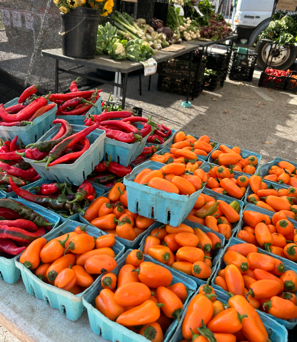 The Bryn Mawr Farmer's Market offers produce on weekends, but is located off-campus. 